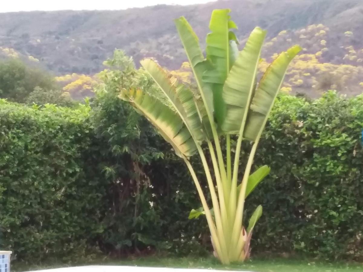C&H Casa Campestre El Oasis Ricaurte Girardot Bed & Breakfast Luaran gambar